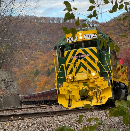 Train in Lehigh Gorge