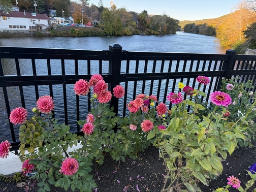 Bridge of Flowers