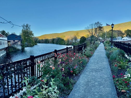 Bridge of Flowers
