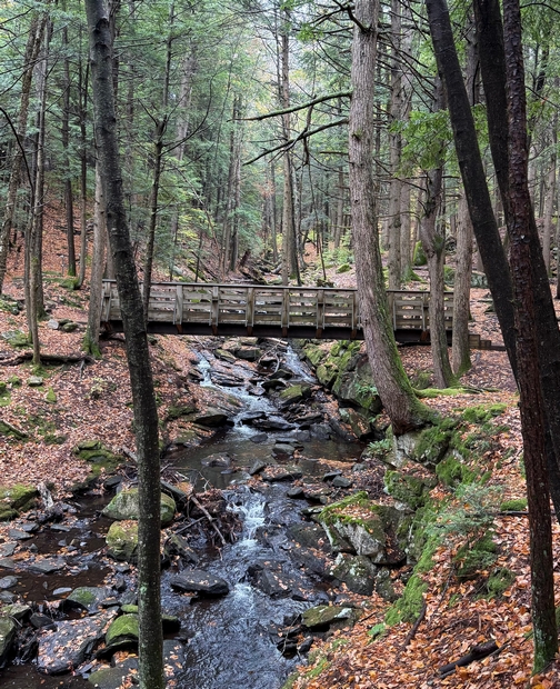 Chesterfield Gorge, New Hampshire