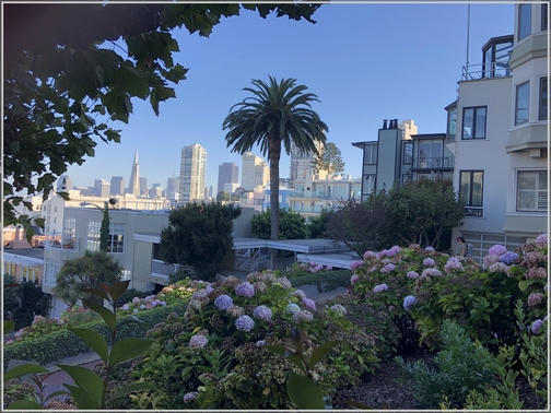 Lombard Street in San Francisco 10/18/18 (Click to enlarge)