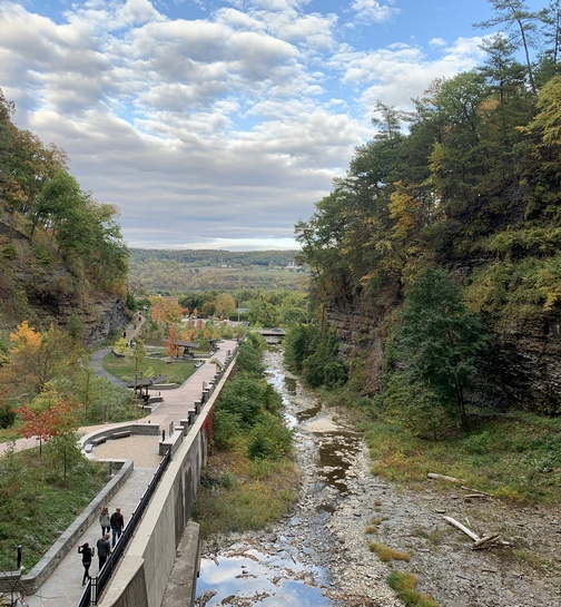 Watkins Glen
