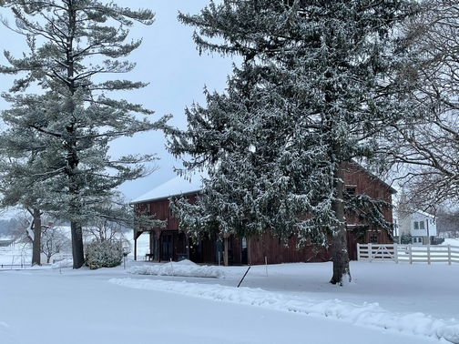 Silverstone Manor barn