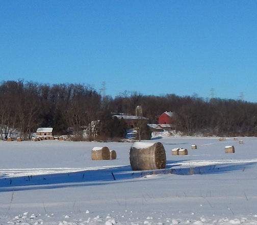 Snowy hay bales in field