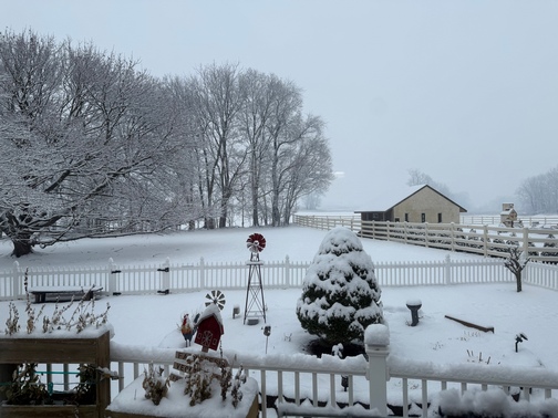Backyard on snowy morning